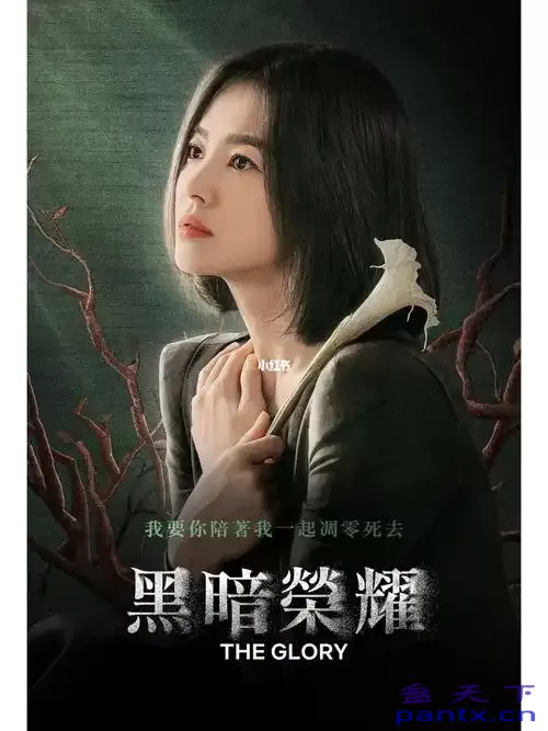 黑暗荣耀